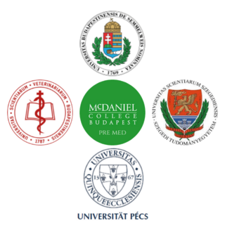 Logo: McDaniel College Budapest